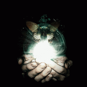 Magic Of Dungeons And Dragons Entertainment Image