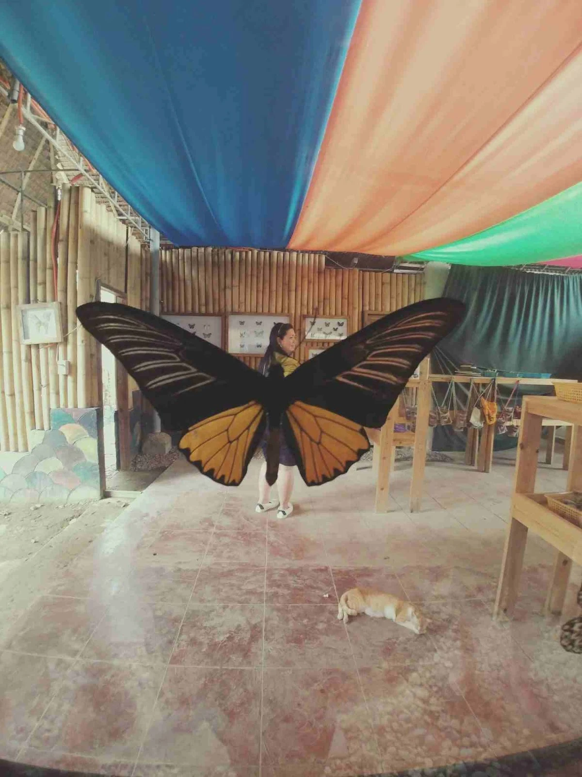 a creative shot with butterfly wings in Bohol