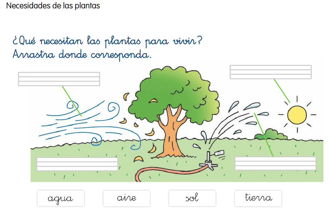 http://primerodecarlos.com/primerodecarlos.blogspot.com/febrero/necesidades_plantas.swf