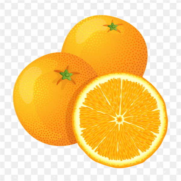 Naranjas rodajas ilustración png transparente