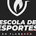 Flamengo lança escola de Esportes Olímpicos