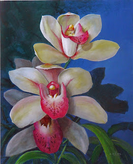 Orquídeas blancas