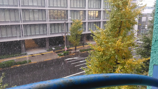 La première neige de l'année à Tokyo