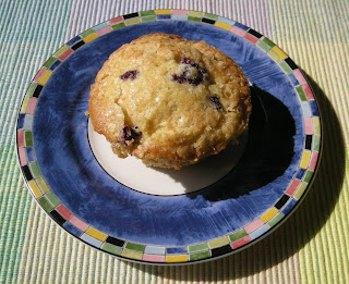 blueberry muffins