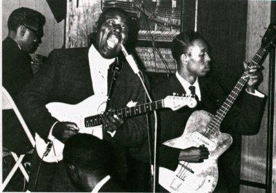 Funny Howlin Wolf Photo