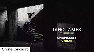 Chamkeele Chuze Lyrics in Hindi - Dino James 