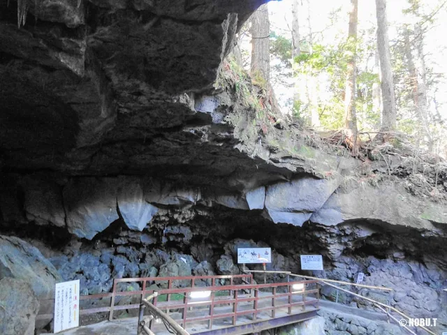 山梨・鳴沢氷穴