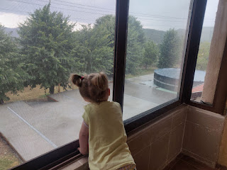 Rosie watching it pour with rain