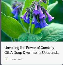 Unveiling the Power of Comfrey Oil: A Deep Dive into Its Uses and Benefits