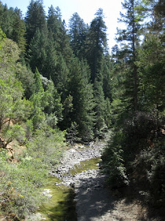 South Fork of the Gualala River viewed from Hauser Bridge, Hauser Bridge Road, Sonoma County, California