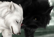 white wolf and black wolf. I found this drawing beautiful.