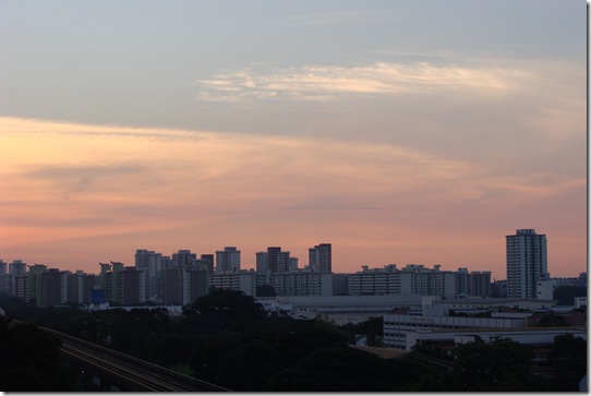 DSC01316