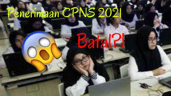 penerimaan cpns dan pppk 2021 diundur