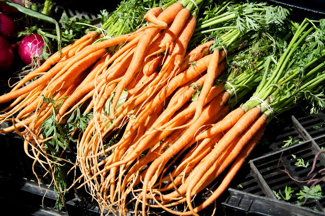 Farm fresh carrots. Michigan Farmers Market at the Capitol 2013. Tammy Sue Allen Photography.