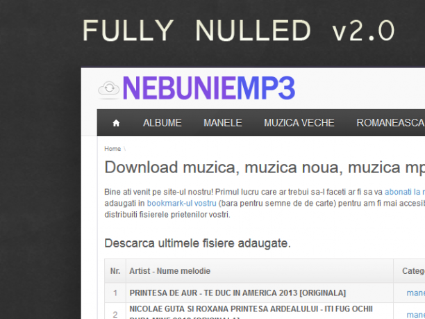 NEBUNIE-MP3.NET v2.0 FULLY NULLED