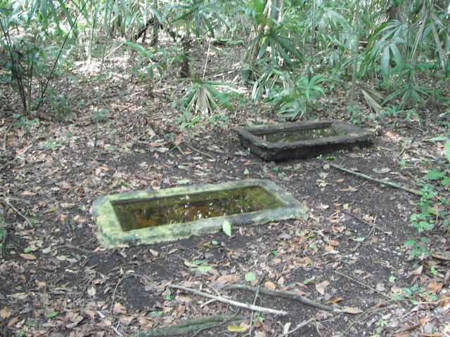 Tikal National Park Guatemala watering holes