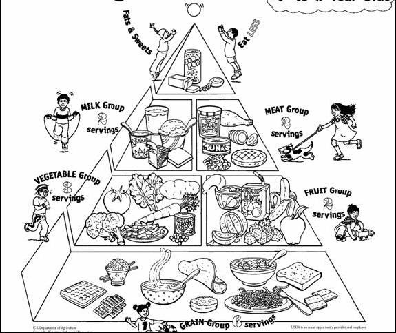 Piramid Makanan Hitam Putih : Terbaru 30 Gambar Kartun Makanan Hitam