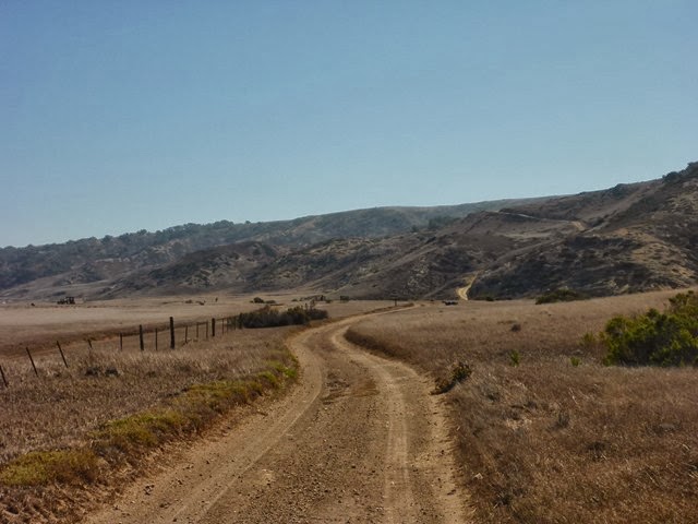 P1000941