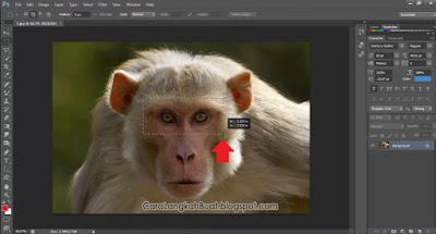 cara ngeblur muka di Photoshop