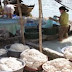 Đóng cửa các cơ sở chế biến tinh bột sắn, cao su không đạt chuẩn tại Tây Ninh