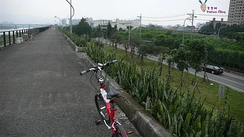 單車樂活｜騎單車上班