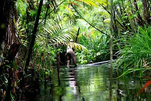 Taman Nanua di Enggano