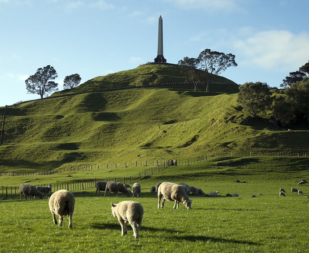 bercuti ke new zealand