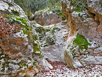 Valle Carbonara - Gargano