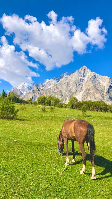 وادی بلامک تحصیل روندو سکردو بلتستان  Rundu Bilamik Valley Tehsel E Skardu Baltistan