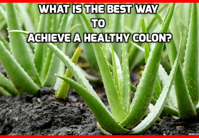 If you have a really healthy colon, you should find yourself having regular bowel movements once or twice a day and your stools should pass easily with minimal amounts of strain. If you find yourself stopped up for more than two days at a time and needing the fortitude of an Olympic body builder in order to pass your stools, then the chances are you have a compacted colon.  In order to help rectify the problem, you might want to look into colon cleansing to see if this can help maintain a healthier colon.