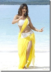 ileana hot pics 110