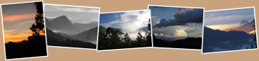 View album