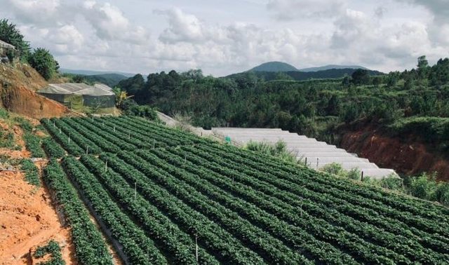 Các kinh nghiệm mua bán đất Đà Lạt tránh rủi ro lâu dài