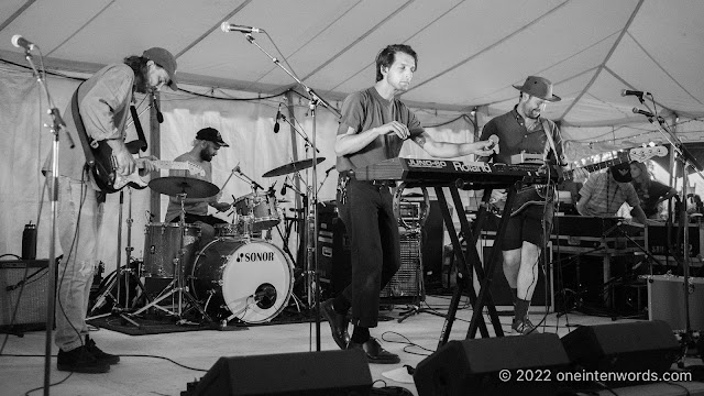 Sauna at Hillside Festival on July 22, 2022 Photo by John Ordean at One In Ten Words oneintenwords.com toronto indie alternative live music blog concert photography pictures photos nikon d750 camera yyz photographer