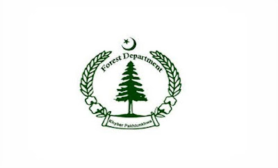 Latest Forestry Environment and Wildlife Department Admin Clerical Posts Peshawar 2022