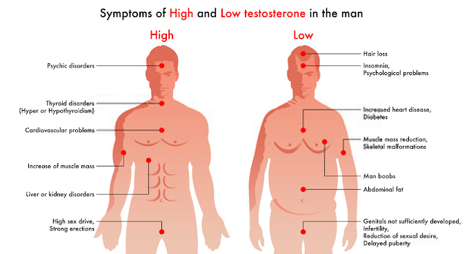 How Does Male Hormone Replacement Therapy Work?