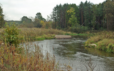 http://fotobabij.blogspot.com/2015/10/tanew-pazdziernik-2015.html