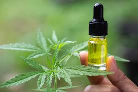 cbd oil in NJ New Jersey 