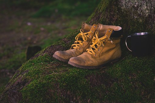 Hiking Boots picture