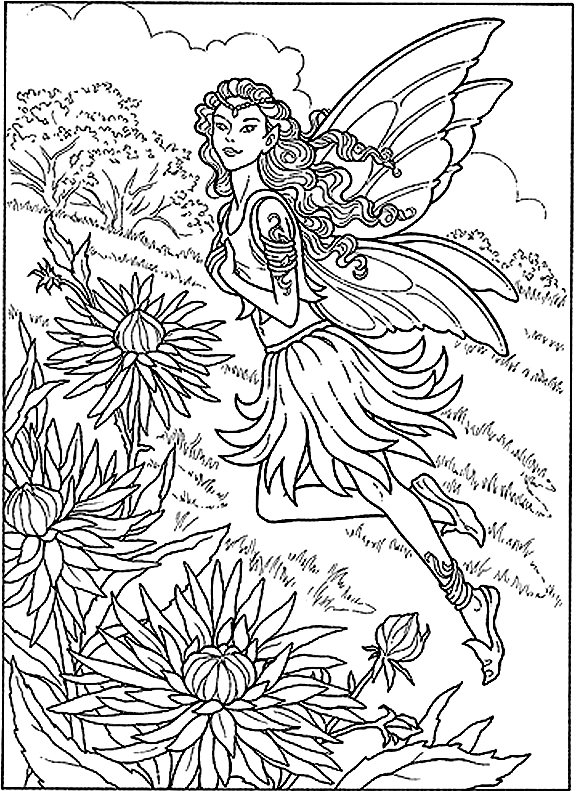 coloring pages for all ages - Butterfly Coloring Pages