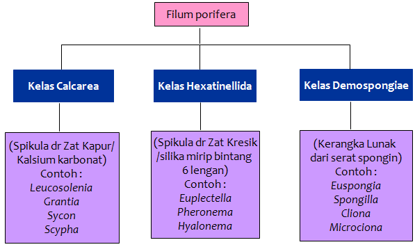 Contoh Makalah Evolusi Hewan - Surat CC