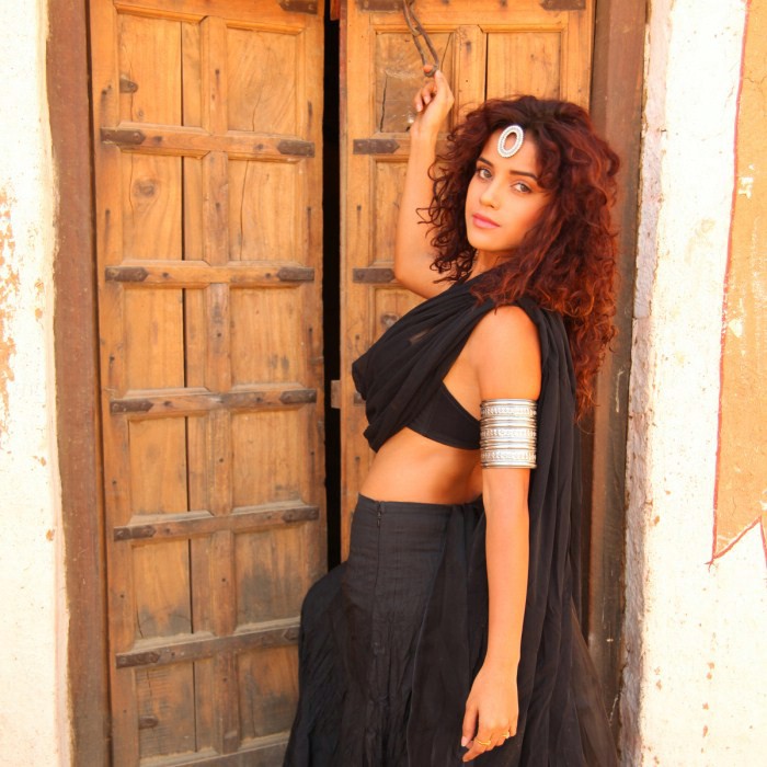 Piaa Bajpai Hot Photoshoot Stills wallpapers