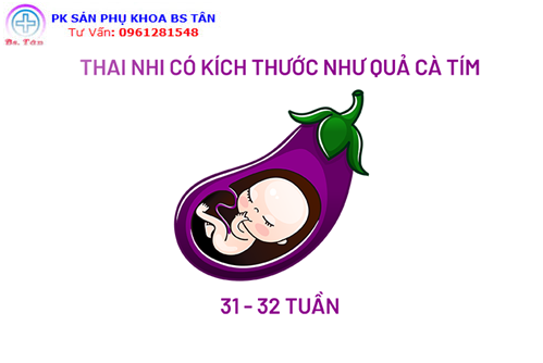 kích thước thai nhi theo tuần