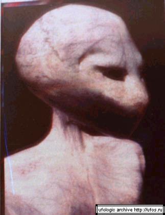 Ufo Video Proof