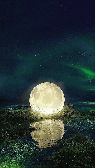 Hình nền động phong cảnh mặt trăng giữa đêm