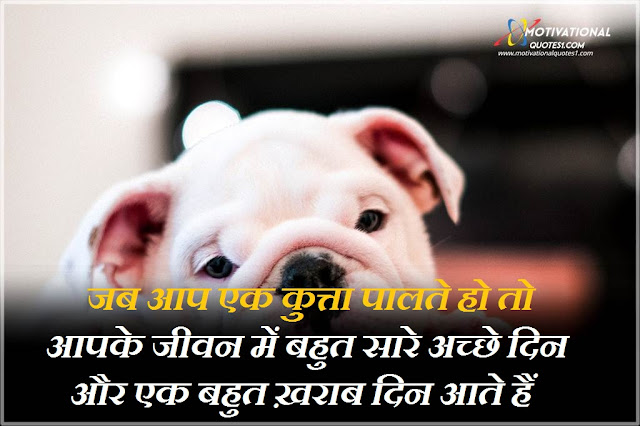 Dog Quotes Image Hindi || डोग क़ोटस इमेजेस हिन्दी