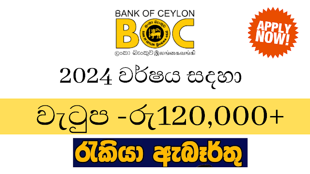 Bank of Ceylon/job 2024