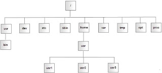 Mengenal Struktur Directory Linux 