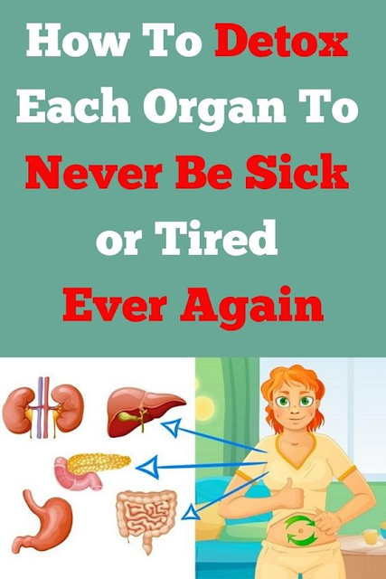 How to Detox Each Organ To Never Be Sick or Tired Again...