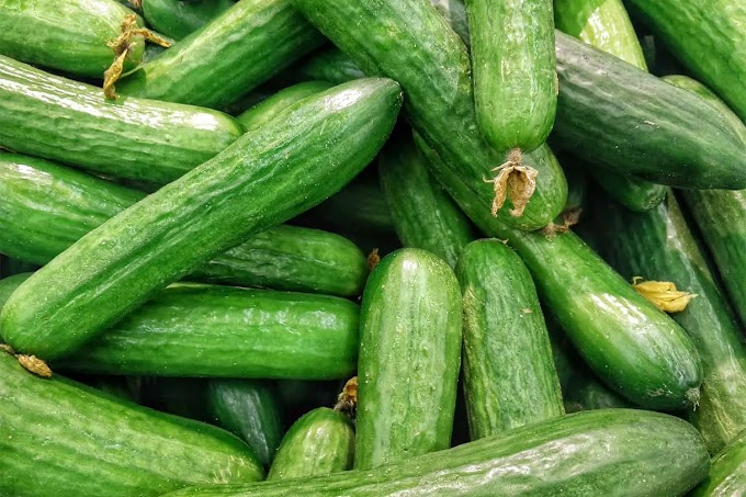 THE ONLY WAY TO KEEP CUCUMBERS FROM BEING SLIMY AND MUSHY